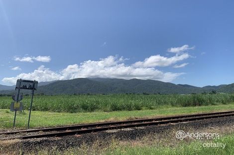 Property photo of 99 Midgenoo Feluga Road Feluga QLD 4854