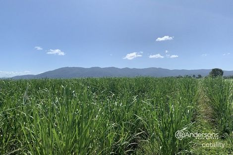 Property photo of 99 Midgenoo Feluga Road Feluga QLD 4854