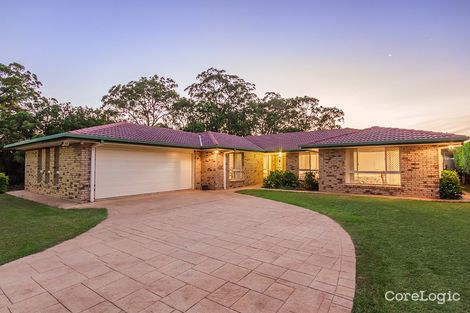 Property photo of 17 Kentia Street Carseldine QLD 4034