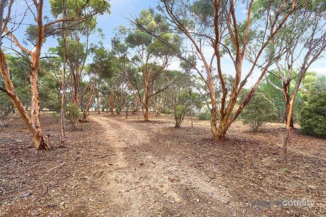 Property photo of 74 Moores Road Auburn SA 5451