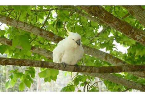 291 River Rd, Hahndorf, SA 5245