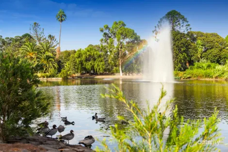 Property photo of 9/14 Ardmillan Road Moonee Ponds VIC 3039