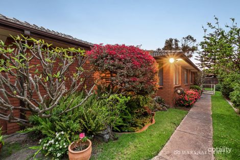 Property photo of 87 Orlando Street Hampton VIC 3188