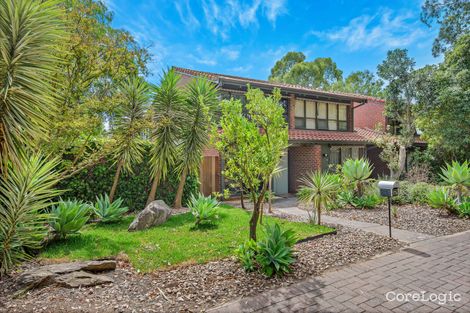 Property photo of 77A Conyngham Street Frewville SA 5063