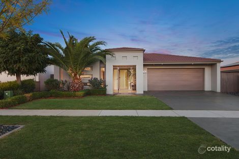 10 Parsley St, Harrison, ACT 2914