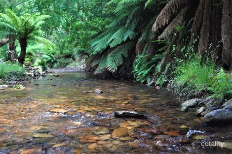 Property photo of 31 Scott Street Woods Point VIC 3723