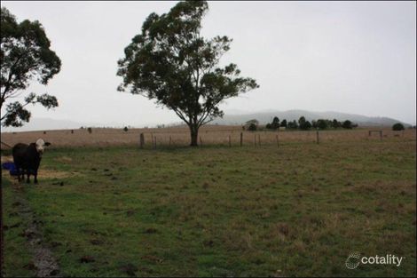 Property photo of 356 Emu Creek Road Colinton QLD 4314