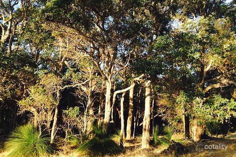 Property photo of 29 Shallows Loop Yallingup WA 6282