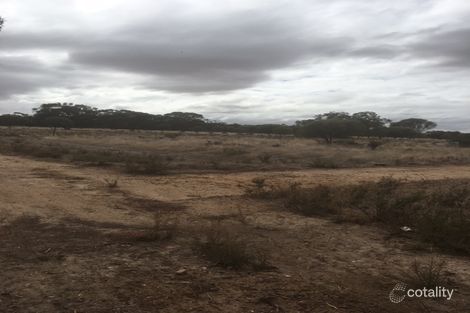 71 Truebody St, Kulin, WA 6365