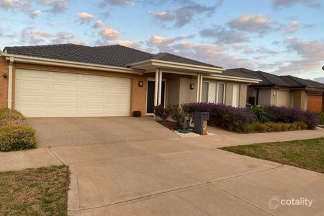 16 Thurston Ave, Tarneit, VIC 3029