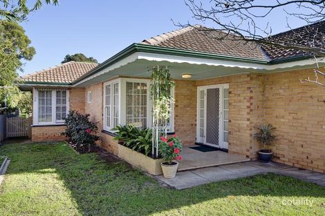 Property photo of 97 Allinga Avenue Glenunga SA 5064