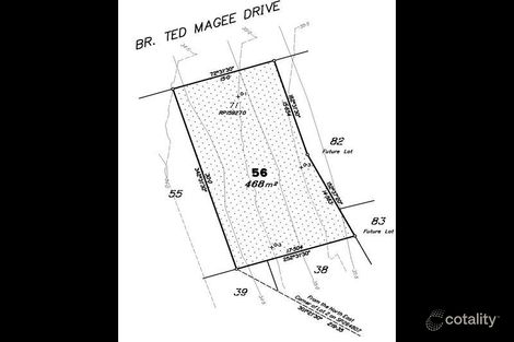 Property photo of 49 Br Ted Magee Drive Collingwood Park QLD 4301