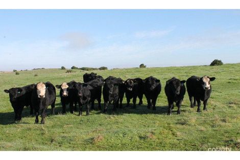 2520 Corangamite Lake Rd, Dreeite, VIC 3249