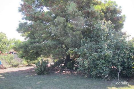 Property photo of 4 Miriam Court Newnham TAS 7248