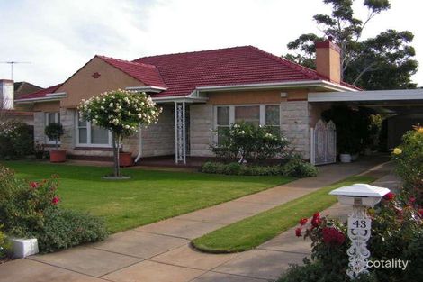 Property photo of 43 Castle Street Edwardstown SA 5039