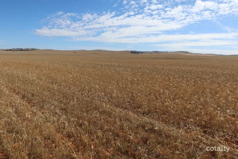 834 Gilfillan Rd, Belalie East, SA 5491