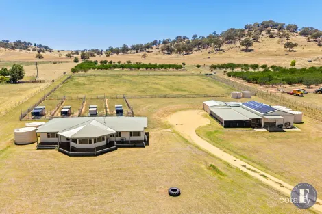 1916 Canowindra Rd, Canowindra, NSW 2804