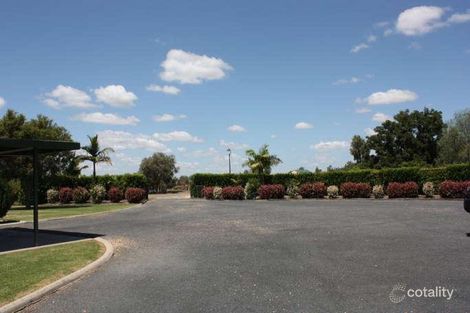 Property photo of 3 Coolibah Place Emerald QLD 4720
