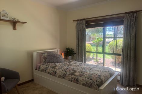 Property photo of 21 Roper Avenue Renmark West SA 5341