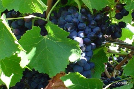 Property photo of 83 Pethick Road Whites Valley SA 5172