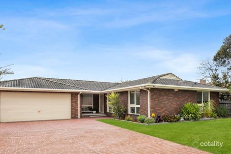 Property photo of 63 Calvert Street Hamlyn Heights VIC 3215