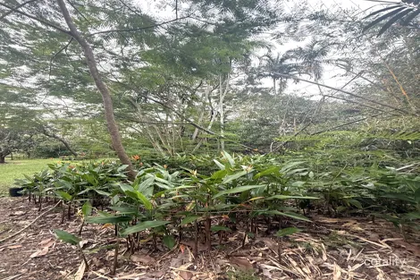 35 Cypress Rd, Humpty Doo, NT 0836