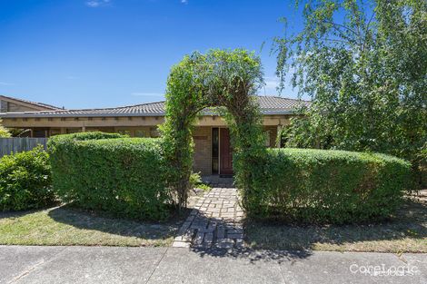 Property photo of 13 Roxburgh Road Wantirna VIC 3152