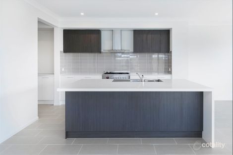 Property photo of 6 Amazon Circuit Helensvale QLD 4212