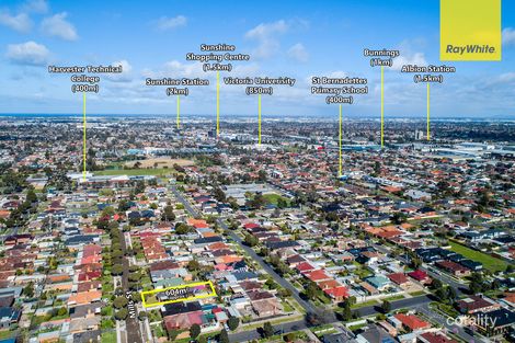 Property photo of 17 Mills Street Sunshine North VIC 3020