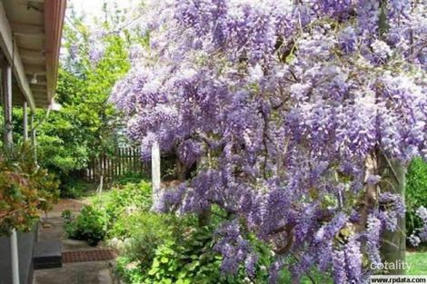 Property photo of 33 Jephson Street Greenbushes WA 6254