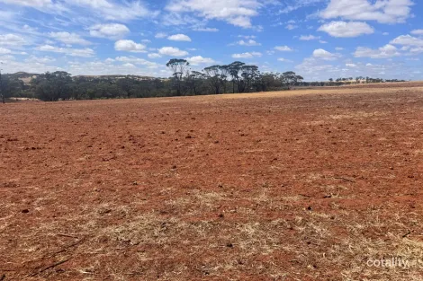 Property photo of 75 Forrest Street Bolgart WA 6568