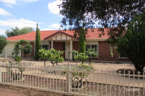 24 Patey Dr, Renmark, SA 5341