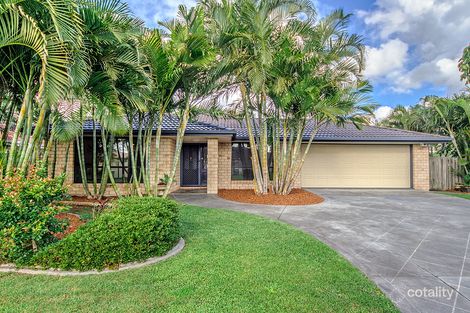 Property photo of 1 Blueash Crescent Oxenford QLD 4210