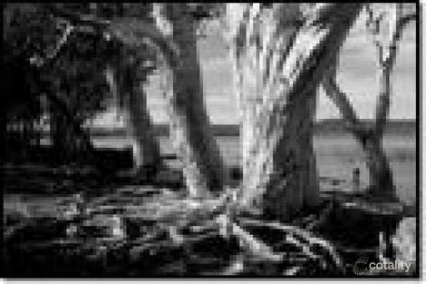 Property photo of 3 Mango Lane Boreen Point QLD 4565