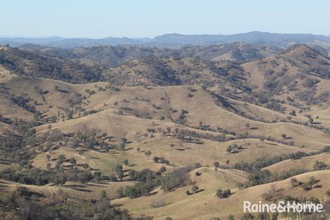 2342 Campfire Rd, Walcha, NSW 2354