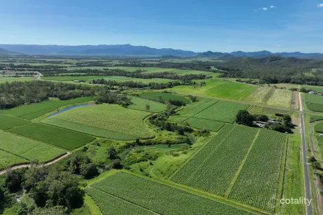 Property photo of 49 Bradfords Road Septimus QLD 4754