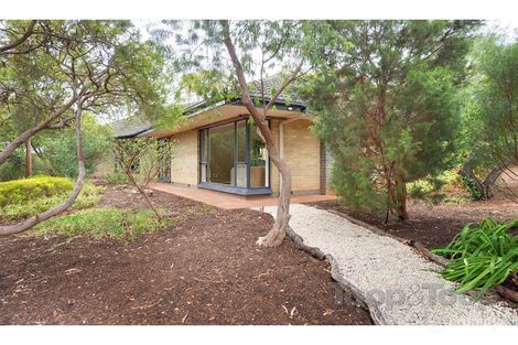 Property photo of 31 Thirkell Avenue Beaumont SA 5066