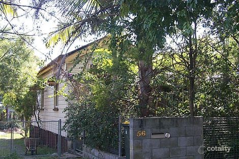 56 Beauvardia St, Cannon Hill, QLD 4170
