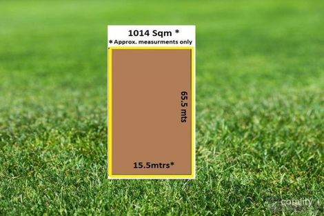 Property photo of 19 Albert Road Auburn NSW 2144