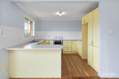 Property photo of 7 Tartarian Street Macgregor QLD 4109