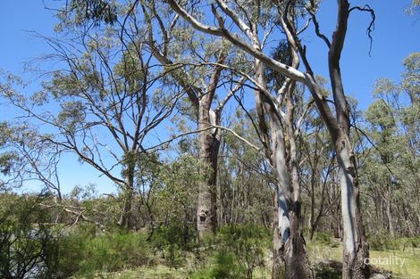 52 Stevens Weir Rd, Deniliquin, NSW 2710