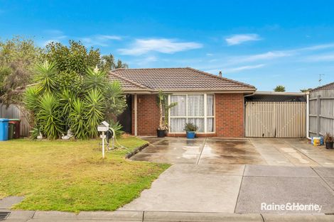 Property photo of 6 Flax Court Cranbourne North VIC 3977