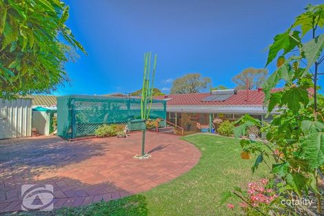 Property photo of 83 Solandra Crescent Modbury North SA 5092