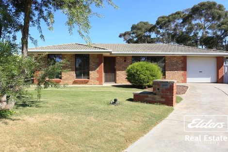Property photo of 17 Window Road Willaston SA 5118