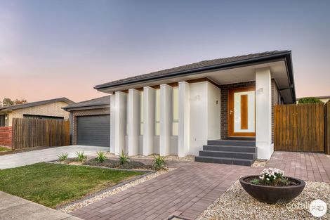 Property photo of 15 Trephina Street Harrison ACT 2914