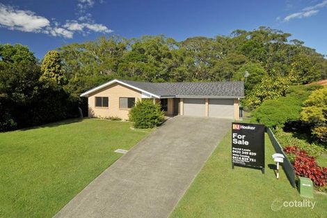 Property photo of 7 Colvillea Court Palm Beach QLD 4221