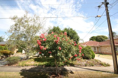 Property photo of 33 Lancaster Street Lockleys SA 5032