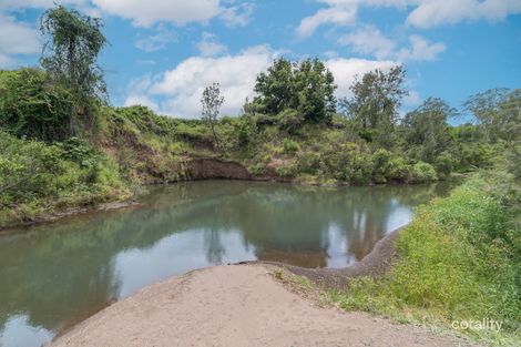 Property photo of 1617 Kerry Road Kerry QLD 4285