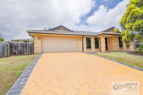 Property photo of 32 Bassili Drive Collingwood Park QLD 4301