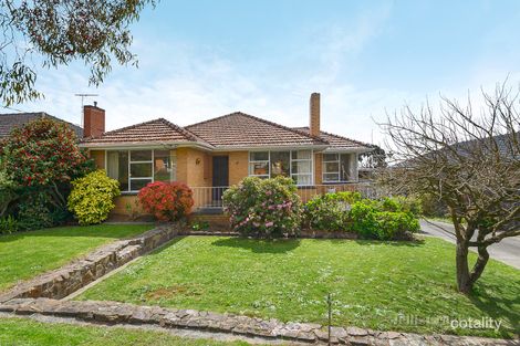 Property photo of 49 Shafer Road Blackburn North VIC 3130